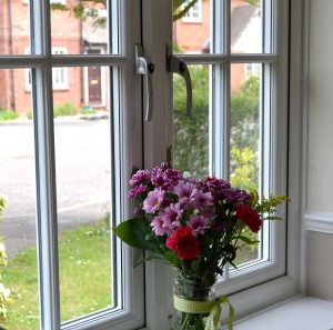 Astragal Bar on White Window